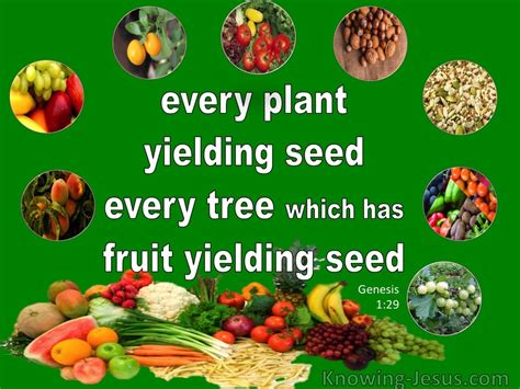 Genesis Every Plant Tree And Fruit Yielding Seed Green