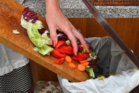 Ridurre Gli Sprechi Alimentari Proclamato Anno Del Cibo