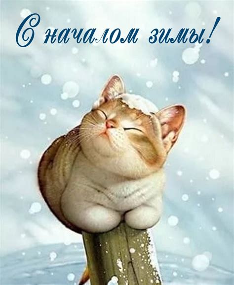 Открытка - красивый котик радуется началу зимы