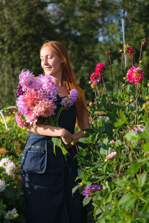 Snittblomsodling Blomsterodling I Småland — Fiddekulla Trädgård