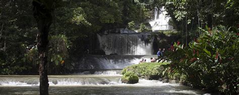 Jamaican Attractions And Sight Seeing Tours Things To Do In Jamaica