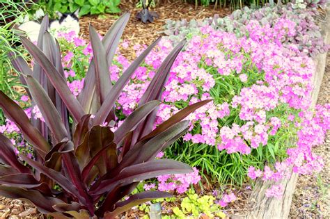 Bustani Plant Farm In Stillwater Ok