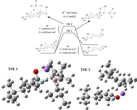 Reaction Path In Reduction Of Cis Tert Butyl X Ciclohexanone X F