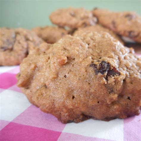 Havermout Rozijnen Koekjes Koeken Recepten Hetkeukentjevansyts Nl