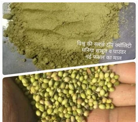 Natural Green Coriander Powder Packet Form Seeds At Rs Kg In