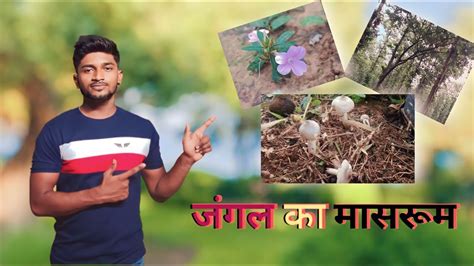 Mushroom Rg Vlog Mera Gao Ka India Ghatshila