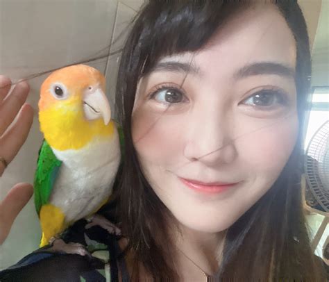 學長abby ” •̀ ∀ •́୨ Streamer On Twitter 我家小雞最可愛 ” •̀ ∀ •́୨