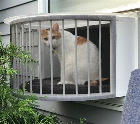 Cat Solarium Conservatory Package The Ultimate Cat Window Box Etsy