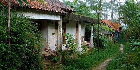 Apa Itu Kampung Mati Semarang Kampung Ditinggal Pergi Penghuninya