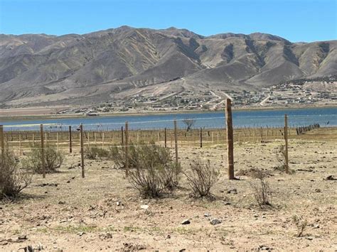 Desalojo En El Mollar M S De Polic As Quitaron Los Alambrados En