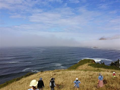 Coastal Prairie Conservation Westwind