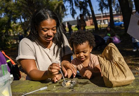 Science Surprises: Exploring surface tension – Florida Museum