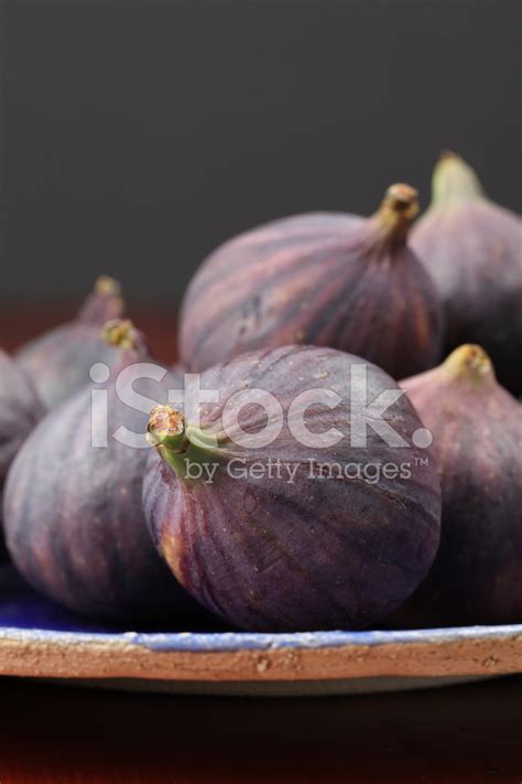 Mission Figs Stock Photo | Royalty-Free | FreeImages