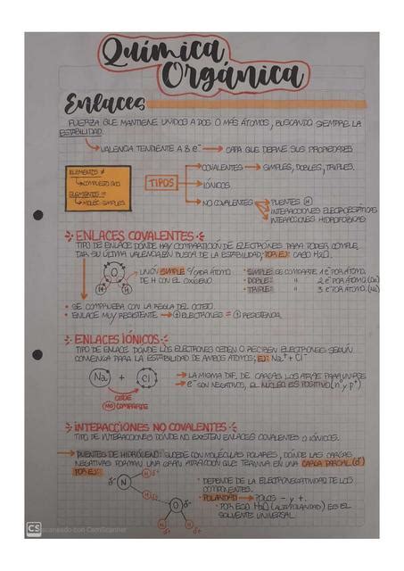 Biomoléculas Química biológica CyD Trofoblastocito o Psiquisnotes