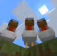 Pin by ♤ Dizza ♤ on memes e imagenes sin sentido xd | Minecraft funny ...