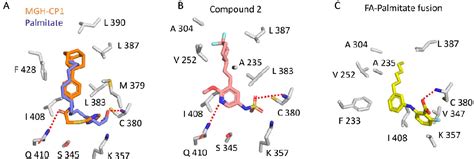 Figure From Protein Protein Interaction Disruptors Of The Yap Taz