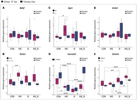 Frontiers Sex And Estrous Cycle Effects On Anxiety And Depression