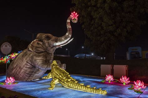 Pramukh Jyoti Udyan Glow Garden Psm100