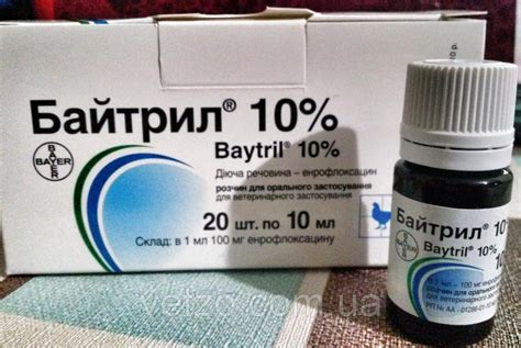 Байтрил для кошек: инструкция по применению, состав, дозировка и цена ...