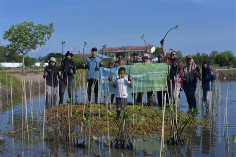 Peringati Hari Lingkungan Sedunia FJL Gelar Aksi Tanam Mangrove Di