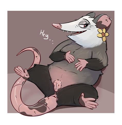 Rule 34 Accessory American Opossum Anus Ass Dialogue Female Feral Flower Genitals Hi Res