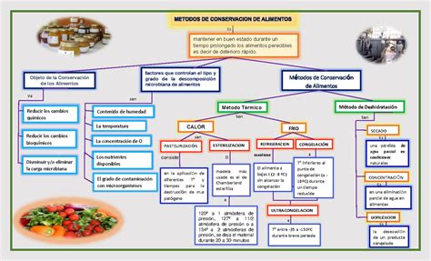 Arriba 67 Imagen Mapa Mental De La Descomposicion De Los Alimentos