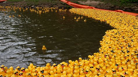 Reedy River Duck Derby Will Be Virtual This Year