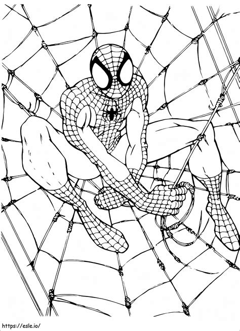 Free Photo Of Spider Man Coloring Page