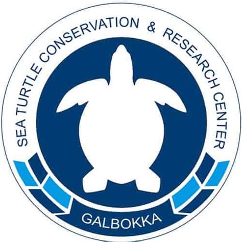 Galbokka Sea Turtle Hatchery Attractions In Galle Ceylon Pages