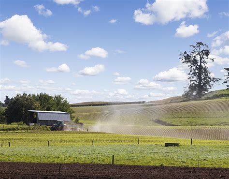 New Zealand Farming Photograph By Les Cunliffe Pixels