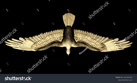 Falcon Top View Stock Photos - 562 Images | Shutterstock