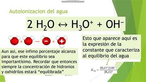 Equilibrioautoionizacionagua Youtube