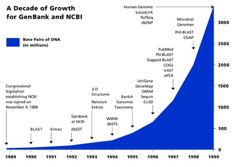 A Decade of Growth for GenBank and NCBI