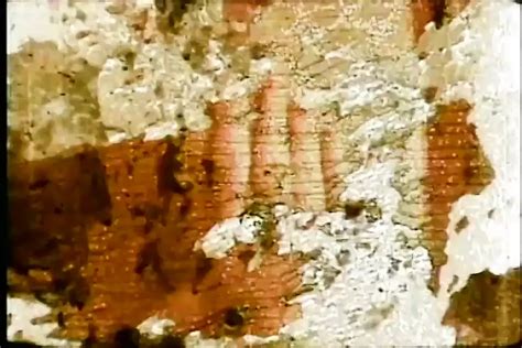 Free Saloon Porn Videos Xhamster