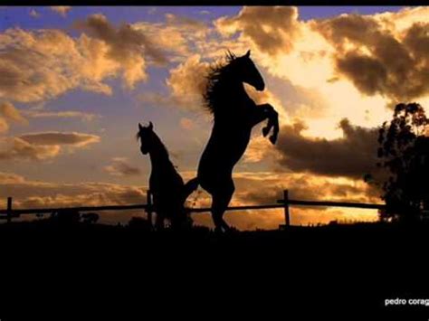 Hist Ria Do Cavalo No Rio Grande Do Sul Quais Ra As Existem Mundo