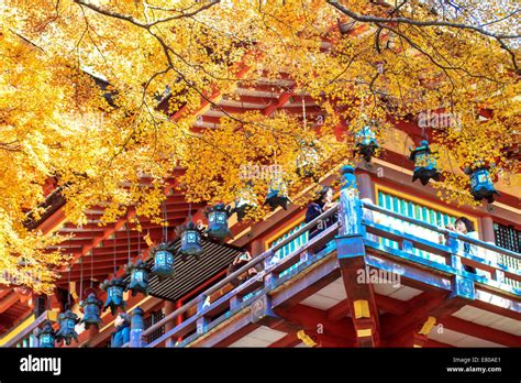 Tanzan Shrine at fall Stock Photo - Alamy