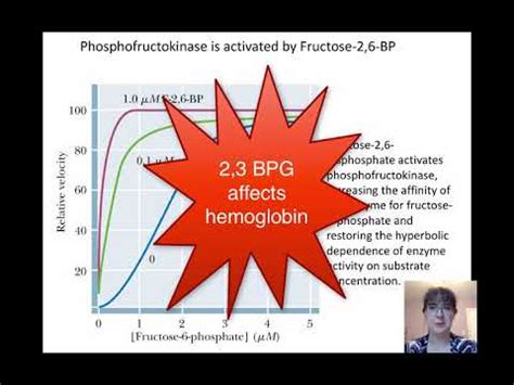 Phosphofructokinase - YouTube