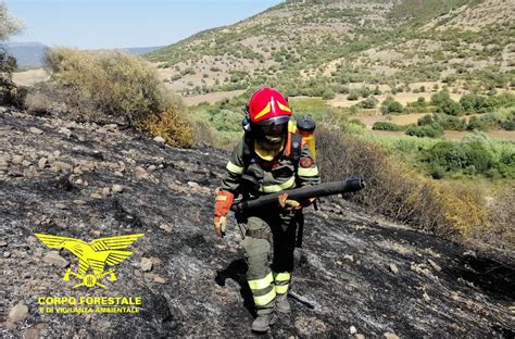 Un Elicottero Del Corpo Forestale Proveniente Da Anela Sta Intervenendo