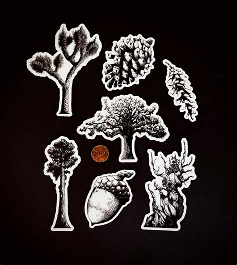 Hand Drawn White Oak Acorn Vinyl Sticker Waterproof Etsy