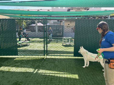 Running Playgroup Is An Advanced Skill
