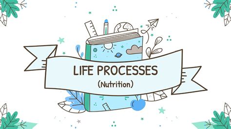 Life Process Nutrition Chapter 6 Class 10 Biology Ppt Project