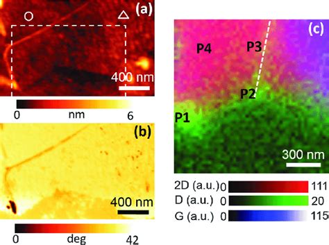 A AFM Topography And B Phase Images Of Single Layer And Bilayer