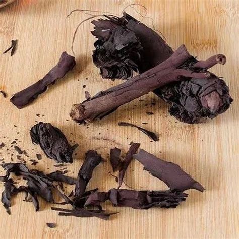 Alkanna tinctoria Brown Dry Alkanet Root, Packaging Type: Loose at Rs ...
