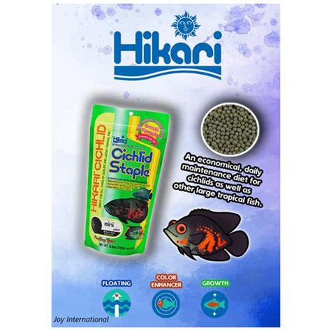 Buy Hikari Cichlid Staple Fish Food Medium Pellet Online At Best