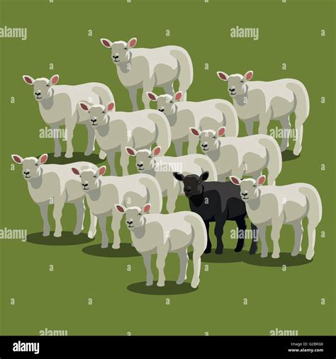 Animal Sheep Black On Green The Black Sheep Metaphor Vector Stock