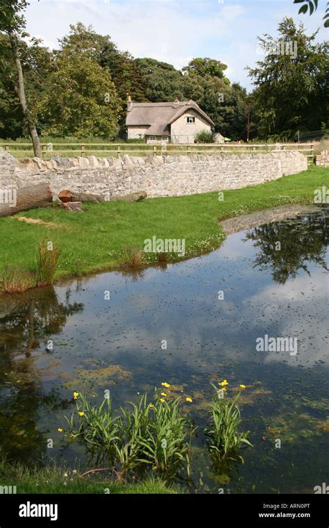 Thatched Cottage And Pond Merthyr Mawr Village Stock Photo Alamy