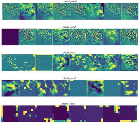 Visualizing The Feature Maps And Filters By Convolutional Off