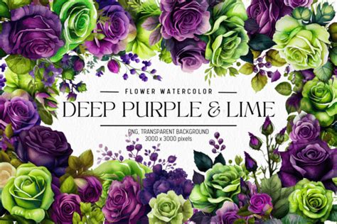 Deep Purple Lime Flowers Watercolor Graphic By Folv Creative Fabrica