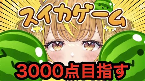 【スイカゲーム沼】耐久うぅぅぅう！3000点とるまで終われまテン🍉🍉🍉【新人vtuber 初見歓迎 なっつぐるめ】 Youtube