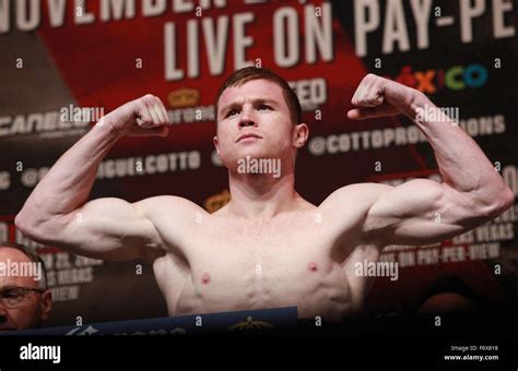 Las Vegas Nevada USA 20 November 2015 Boxer Saul Canelo Alvarez